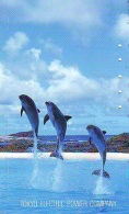 Télécarte Japon * DAUPHIN * DOLPHIN (907) Japan () Phonecard * DELPHIN * GOLFINO * DOLFIJN * - Dolfijnen