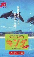 Télécarte Japon * DAUPHIN * DOLPHIN (908) Japan () Phonecard * DELPHIN * GOLFINO * DOLFIJN * - Dolphins