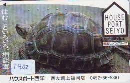 Télécarte Japon * TURTLE * TORTUE  (1902)  PHONECARD JAPAN * * TELEFONKARTE * SCHILDKRÖTE - Schildpadden