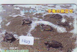 Télécarte Japon * TURTLE  (1923) PHONECARD JAPAN * 330-12843 * TORTUE *   TELEFONKARTE * SCHILDKRÖTE - Schildkröten