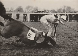 Hippisme Photo France Presse 14/1/1947 Courses à WINDSOR Chute Jockey Marshall Cheval Boccassio Propriétaire Miss Dunne - Hipismo