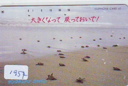 Télécarte Japon * TURTLE *  (1957) PHONECARD JAPAN * * TORTUE *   TELEFONKARTE * SCHILDKRÖTE - Turtles