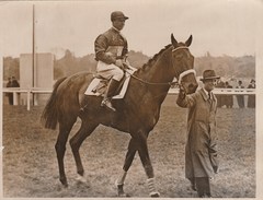 Hippisme Photo New York Times LONGCHAMP 30/4/39 Prix Daru Cheval Gagnant MON TRESOR III Jockey ROCHETTI Rentre Au Padd. - Equitation