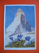 ERICH STEGMANN:Krokus Am Matterhorn - Steg