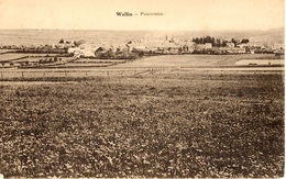 Wellin. Panorama - Wellin