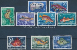 ** 1956 Halak Mi 795-803 (Mi EUR 60,-) - Other & Unclassified