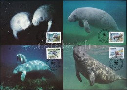 1993 WWF: Karibi Manátusz Sor Mi 4081-4084 4 Db FDC-n - Altri & Non Classificati