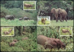 1988 WWF: Erdei Elefánt Sor Mi 1009-1012 4 Db CM-en - Altri & Non Classificati