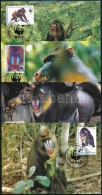 1991 WWF: Mandrill Sor Mi 1731-1734 4 Db CM-en - Altri & Non Classificati