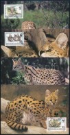 1992 WWF: Szervál Sor 4 Db CM-en Mi 1758-1761 - Altri & Non Classificati