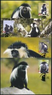 2004 WWF: Majmok Sor 4 Db CM-n Mi 1745-1748 - Other & Unclassified