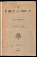 Dr. Schmidt T.: Az Anatomia Alapvonalai. Bp., 1904, Franklin-Társulat. Átkötött... - Zonder Classificatie