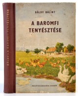 Báldy Bálint: A Baromfi Tenyésztése. Bp., 1954, MezÅ‘gazdasági Kiadó.... - Non Classés