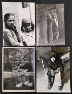 Cca 1960 Vintage Fotók Tétele, 99 Db Különféle Témákat, MÅ±fajokat ... - Altri & Non Classificati
