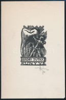 Várkonyi Károly (1913-2001): Fogorvos Ex Libris. Fametszet, Papír. Jelzett / Dentist Bookplate... - Other & Unclassified