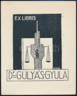 Schorr Tibor (?-?): Ex Libris Dr. Gulyás Gyula. Fametszet, Papír, Jelzett A Metszeten, 14x12 Cm - Other & Unclassified