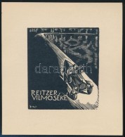 Buday György (1907-1990): Ex Libris Reitzer Vilmos. Fametszet, Papír, Jelzett A Dúcon,... - Andere & Zonder Classificatie