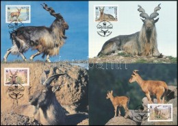 1995 WWF: Pödröttszarvú Kecske Sor Mi 61-64 4 Db CM-en - Altri & Non Classificati