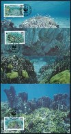 1992 WWF: Kék Korall Sor Mi 638-641 4 Db CM-en - Altri & Non Classificati