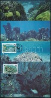 1992 WWF: Kék Korall Sor 4 CM Mi 638-641 - Other & Unclassified