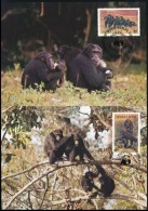1983 WWF Csimpánzok Sor  4 Db CM-en Mi 713-716 - Andere & Zonder Classificatie