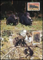 1983 WWF Csimpánzok Sor  4 Db CM-en Mi 713-716 - Andere & Zonder Classificatie