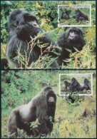 1985 WWF: Gorilla Sor 4 Db CM-en Mi 1292-1295 - Andere & Zonder Classificatie