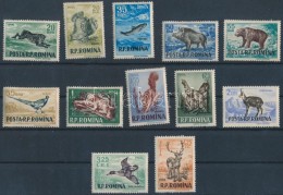 ** 1956 Állatok Sor Mi 1565-1576 - Other & Unclassified