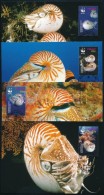 2006 WWF: Kagylók Sor 4 CM  Mi 2530-2533 - Altri & Non Classificati