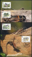 2004 WWF: Veszélyeztetett állatok Sor 4 Db CM-n Mi 1143-1146 - Altri & Non Classificati