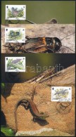 2004 WWF: Veszélyeztetett állatok Sor 4 Db CM-n Mi 1143-1146 - Otros & Sin Clasificación