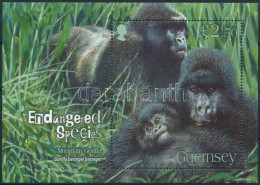 ** 2007 Gorilla Blokk Mi 45 - Andere & Zonder Classificatie