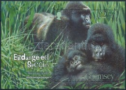 ** 2007 Gorilla Blokk Mi 45 - Autres & Non Classés