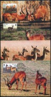 2003 WWF: Puku Mocsári Antilop Sor 4 Db CM-en Mi 721-724 - Altri & Non Classificati