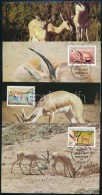1987 WWF: Gazella Sor 4 Db CM-en Mi 1753-1756 - Altri & Non Classificati