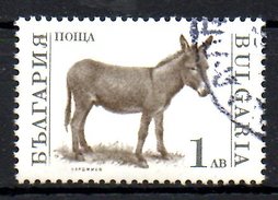 BULGARIE. N°3395 Oblitéré De 1991. Ane. - Donkeys