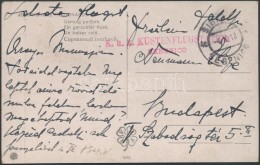 1918 Tábori Posta Képeslap / Field Postcard 'K.u.k. KUSTENFLUGSTATION SEBENICO' - Other & Unclassified