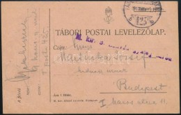 1917 Tábori Posta LevelezÅ‘lap 'M.kir. 9. Honvéd Gyalog Ezred' + 'TP 425 B' - Otros & Sin Clasificación