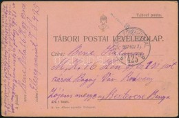 1917 Tábori Posta LevelezÅ‘lap 'M.KIR. 16. HONVÉD GYALOGEZRED' + 'TP 425 B' - Altri & Non Classificati