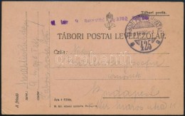 1917 Tábori Posta LevelezÅ‘lap 'M.kir. 9. Honvéd Gyalog Ezred' + 'TP 425 A' - Altri & Non Classificati