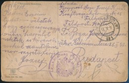 1916 Tábori Posta Képeslap 'K.u.k. Kraftwagenkolonne No.18.' + 'FP 224' - Other & Unclassified