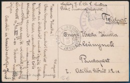 1915 Tábori Posta Képeslap 'MFP POLA C' + 'S.M.S. CUSTOZA' - Other & Unclassified