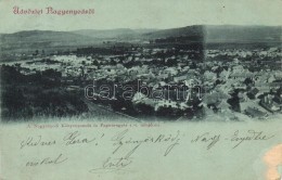 T3 1899 Nagyenyed, Aiud; Látkép / General View (felületi Sérülés / Slight... - Non Classificati