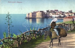 T2/T3 Dubrovnik, Ragusa; General View, Donkey (EK) - Non Classificati