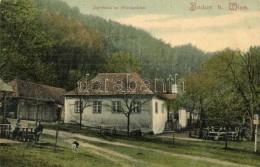 ** T2 Baden Bei Wien, Jägerhaus Im Weichselthal / Hunting Lodge - Non Classificati