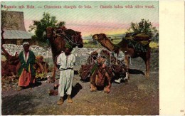 ** T2/T3 Kamele Mit Holz / Chameaux Chargés De Bois / Teve Fával / Camels Laden With Olive Wood,... - Non Classificati