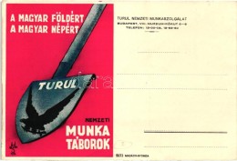 ** T2/T3 Nemzeti Munkatáborok: A Magyar Földért, A Magyar Népért. A Turul Nemzeti... - Unclassified