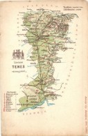 ** T4 Temes Vármegye Térképe; Kiadja Károlyi Gy. / Map Of Temes County (b) - Sin Clasificación