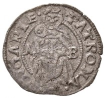 1530A-B Denár Ag 'Szapolyai János' (0,43g) T:2
Hungary 1530A-B Denar Ag 'John Szapolyai' (0,43g)... - Sin Clasificación