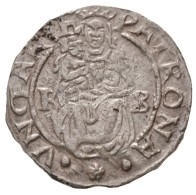 1564K-B Denár Ag 'I. Ferdinánd' (0,54g) T:2
Hungary 1564K-B Denar Ag 'Ferdinand I' (0,54g)... - Sin Clasificación